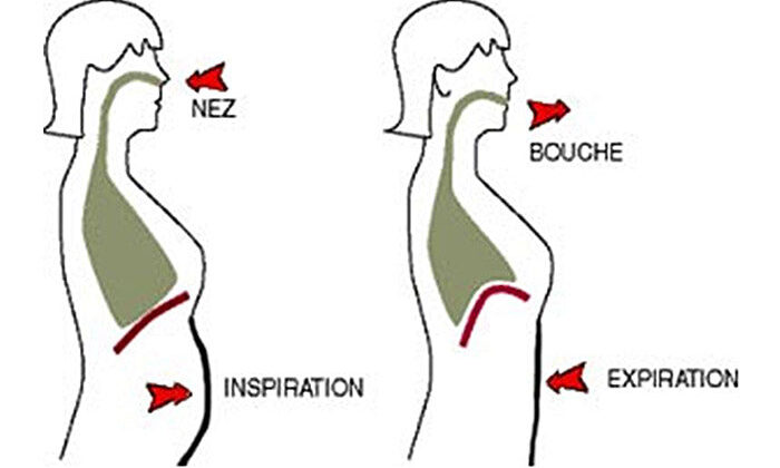 Comprendre sa respiration et analyser son impact sur le cheval